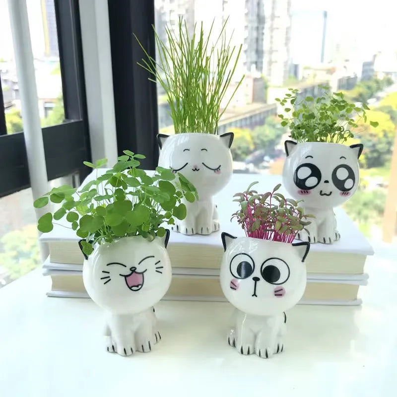 White Ceramic Cute Cat Cartoon Plant Pot (Various Expressions)