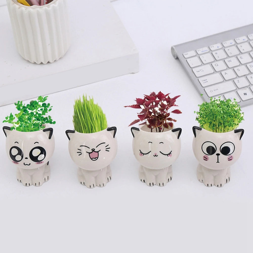 White Ceramic Cute Cat Cartoon Plant Pot (Various Expressions)