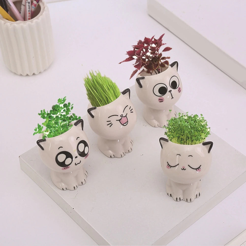 White Ceramic Cute Cat Cartoon Plant Pot (Various Expressions)