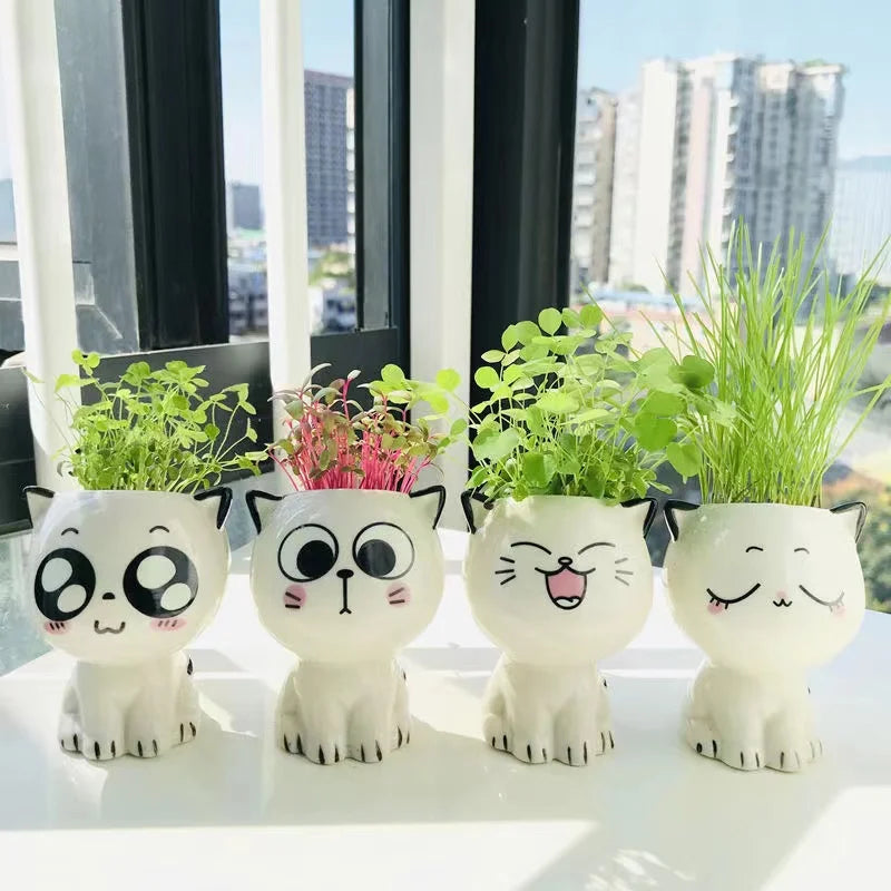 White Ceramic Cute Cat Cartoon Plant Pot (Various Expressions)