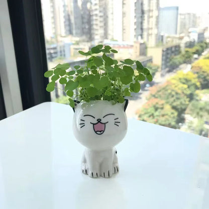 White Ceramic Cute Cat Cartoon Plant Pot (Various Expressions)