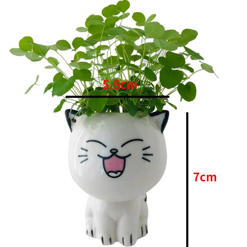 White Ceramic Cute Cat Cartoon Plant Pot (Various Expressions)